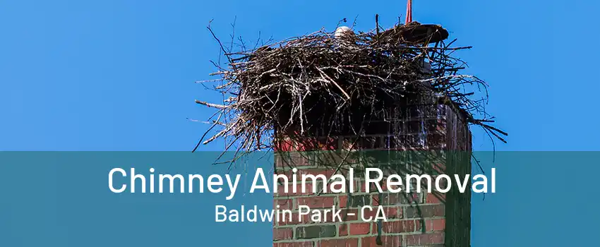 Chimney Animal Removal Baldwin Park - CA