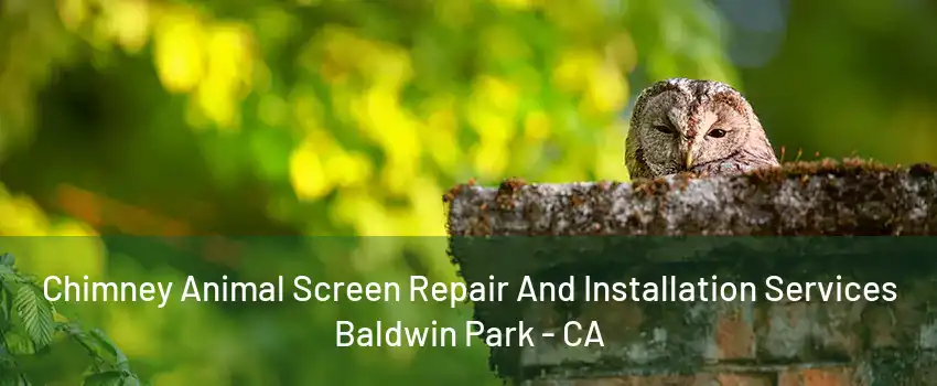 Chimney Animal Screen Repair And Installation Services Baldwin Park - CA