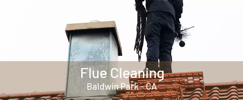 Flue Cleaning Baldwin Park - CA